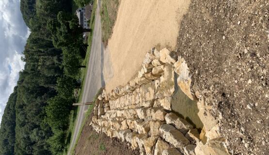 Bachausdohlung Zalgarten, Maisprach (Hans Graf AG 6-7.2023) - 1